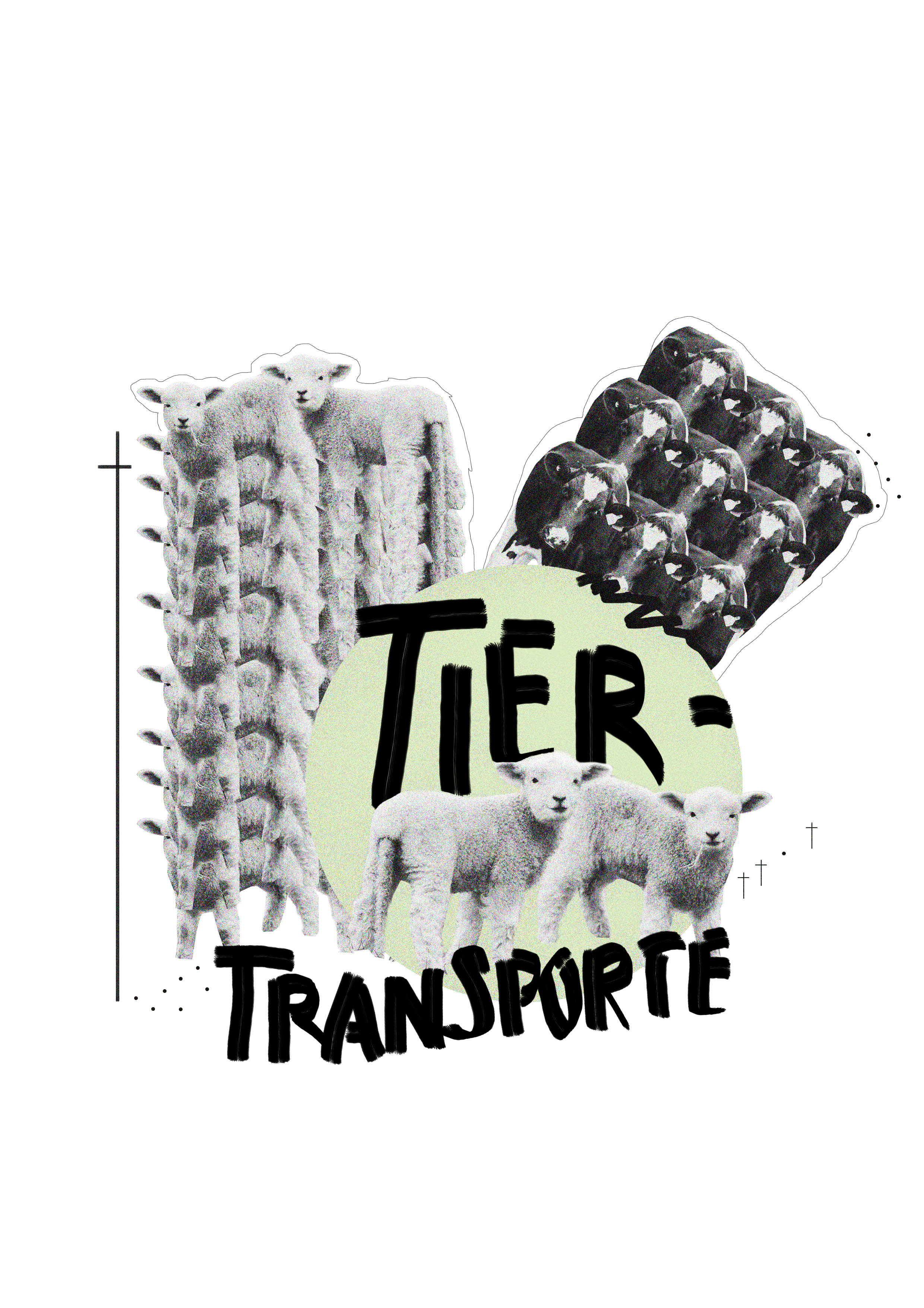 Tiertransporte